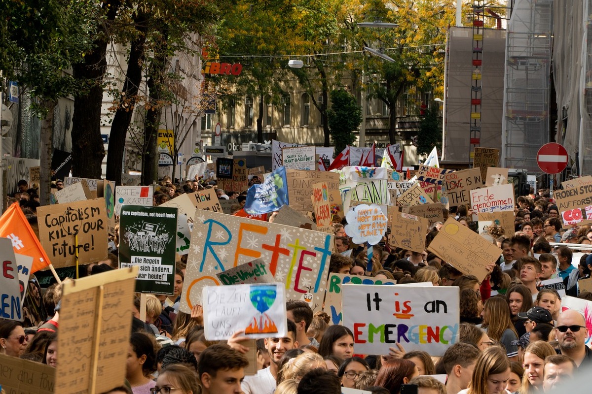 Ein Symbolbild einer Fridays for Future Demo